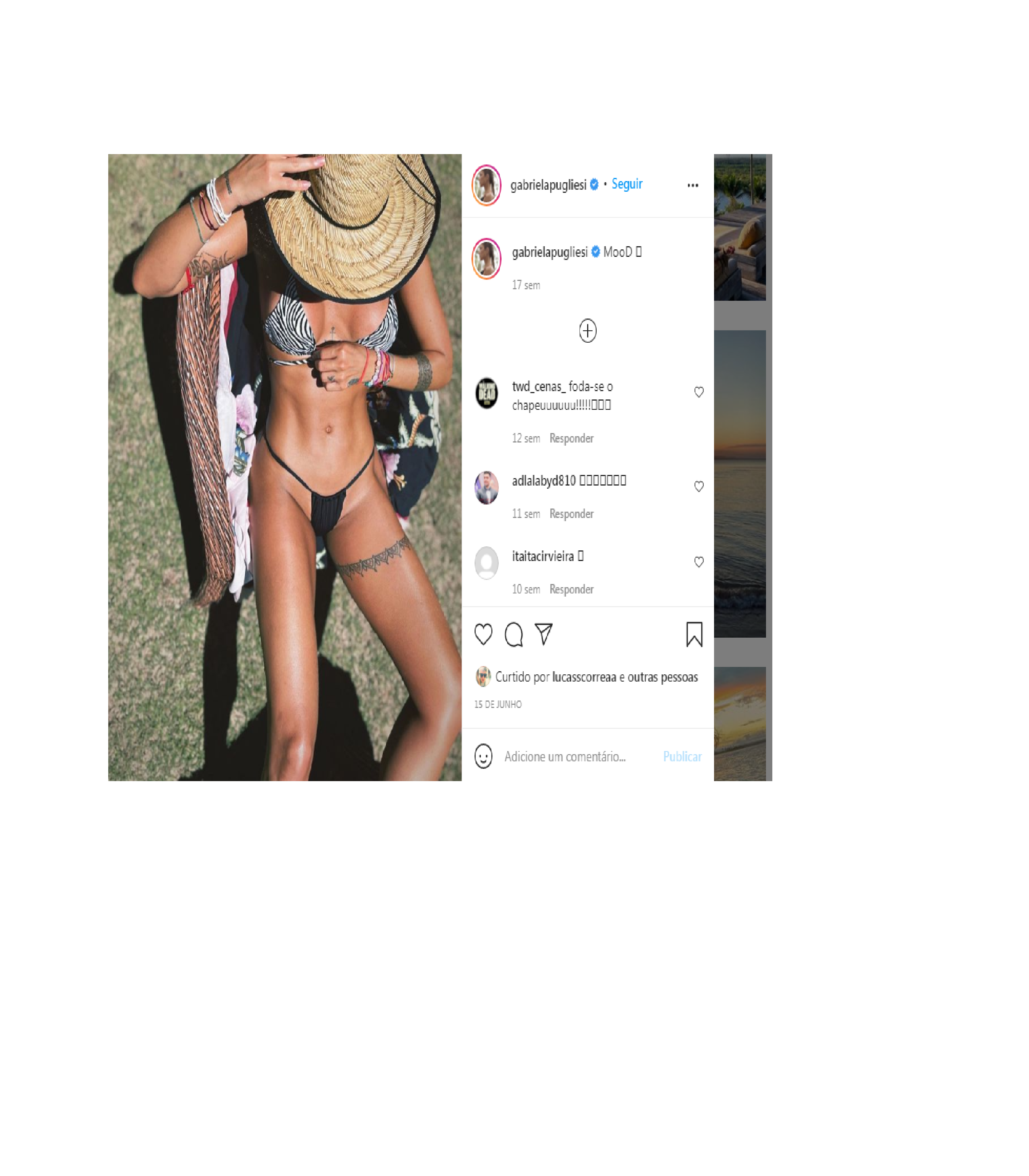 Anexo pugli.png